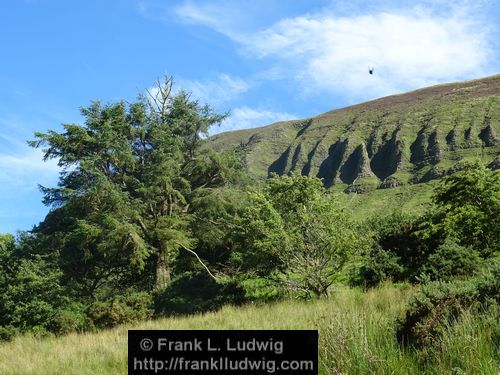 Benbulben